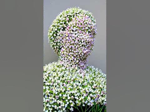 как цветы быстро растут - YouTube