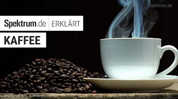 Wie heißen alle Kaffeesorten?