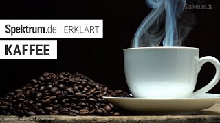 Kaffee: Spektrum erklärt!