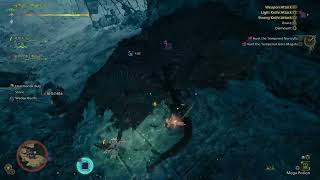 Tempered Goro Cut Tail MH Wilds