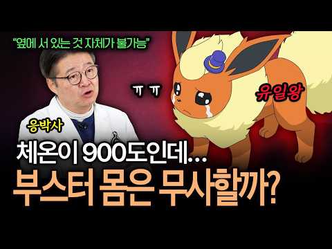 Body temperature is 900 degrees? The science of the booster combustion system (Dr. Eung's Pokémon...