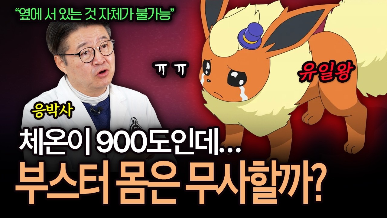 체온이 900도라고? 부스터 연소 시스템의 과학 (응박사의 포켓몬 연구소 ep6)