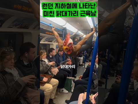 런던 지하철에 나타난 미친 닭대가리 근육남 #amazing #기막힌 #이슈