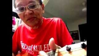 Celebrity Sing Along With Dale, ukulele, mahagony concert vs solid spruce top soprano Wealth