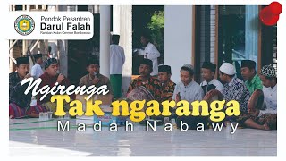 Ngirenga tak ngaranga II lagu terbaru Madah Nabawy Darul Falah