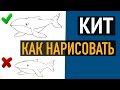 Как нарисовать кита ПОЭТАПНО.