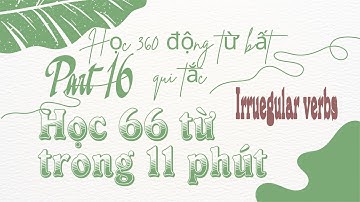 360 Động Từ Bất Quy Tắc #16 || 360 Irregular verbs #beginner #english #verb #tienganh