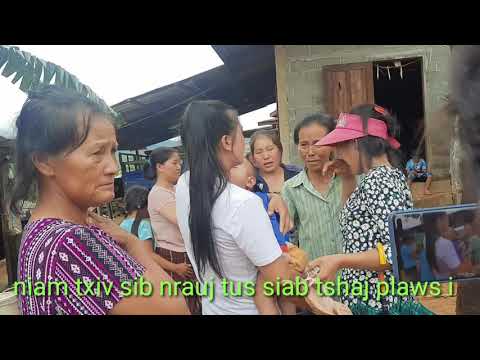 Video: Cov Txiv Hmab Txiv Ntoo Sib Xyaw Raws Li Niam Tais Qhia