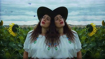 Stockin Wood - Bebe Buckskin feat. ELLEN MCILLWAINE