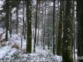 Northern portugal   gallacia grvia terra celtaceltic land 