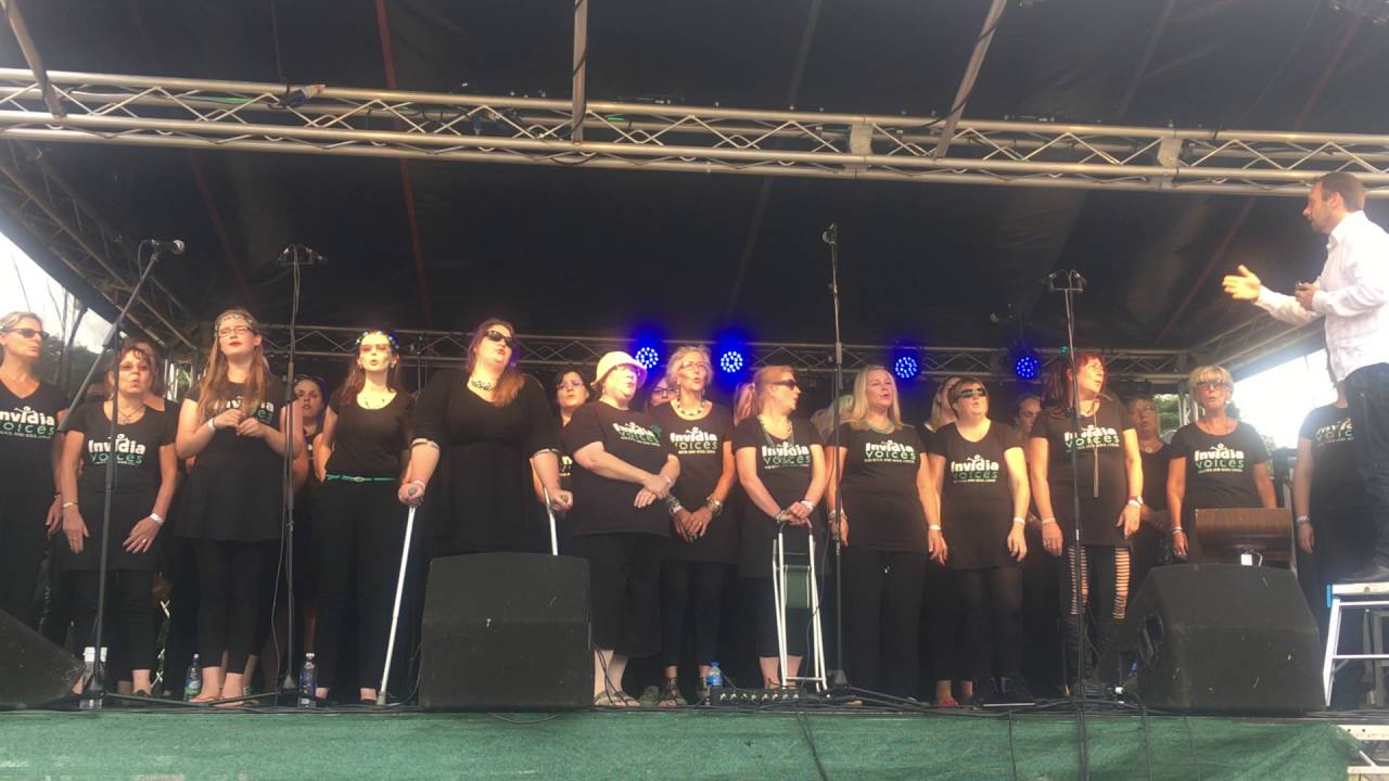 Invidia Voices - Bring Me To Life - Party in the Park (Earlham Park)