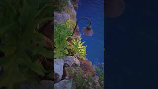 The Hidden Wonders of Hansen Pool Yorba Linda
