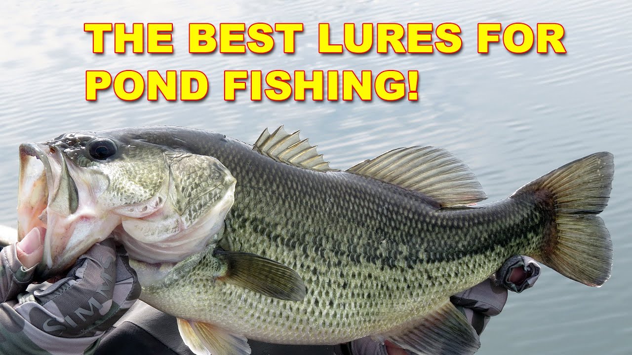 Watch 3 Best Lures For Pond Fishing