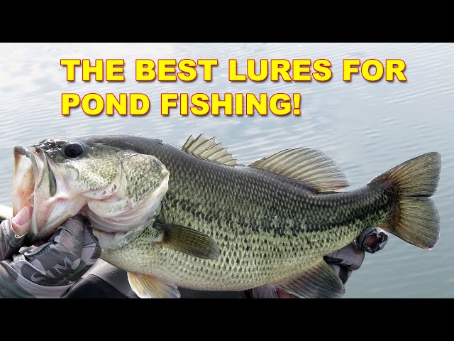 Best Lures for Pond Fishing Without a Boat