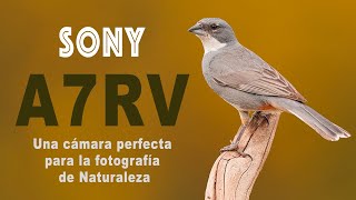 Sony a7r5 - Una cámara perfecta para fotografía de Naturaleza