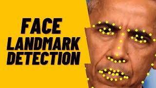 face landmark detection - demo - building a deepfake