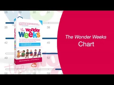 Wonder Weeks Chart