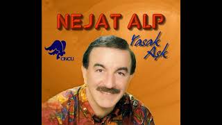 Sulukule - Nejat Alp Resimi