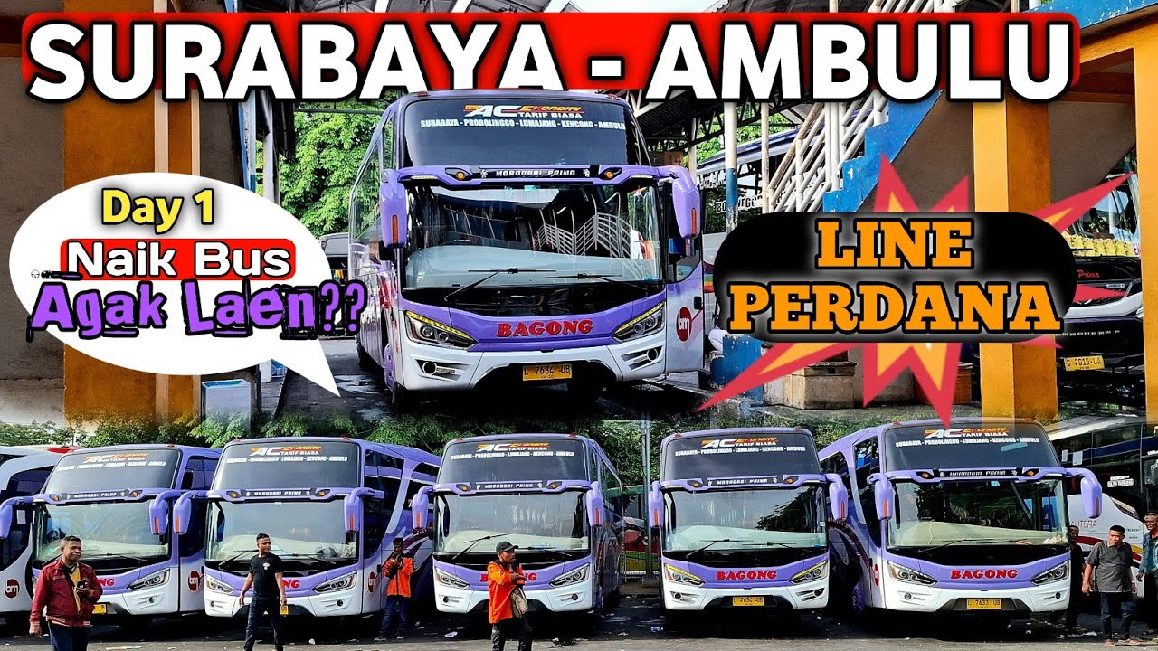 JALAN PERDANA‼️ PERTAMA KALI KE AMBULU JEMBER BERSAMA BAGONG‼️ Tarif Ekonomi tapi agak lain