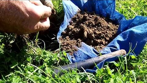 XP Deus looking for good targets in the trash, part 1 of 2