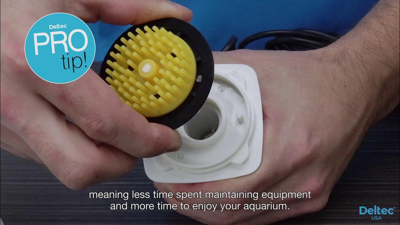 WHY IS MY SKIMMER OVERFLOWING YouTube