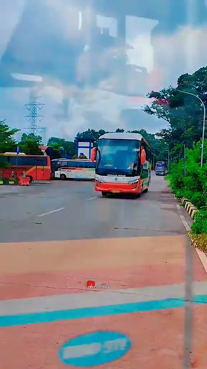 Terbaru Rosalia indah Legacy sr3 #shortsfeed #busmania #rosaliaindah #legacysr3 #shorts