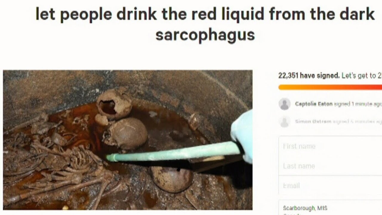 Thousands sign petition to drink found Egyptian sarcophagus YouTube