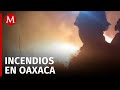 Reportan más de 150 incendios forestales en Oaxaca