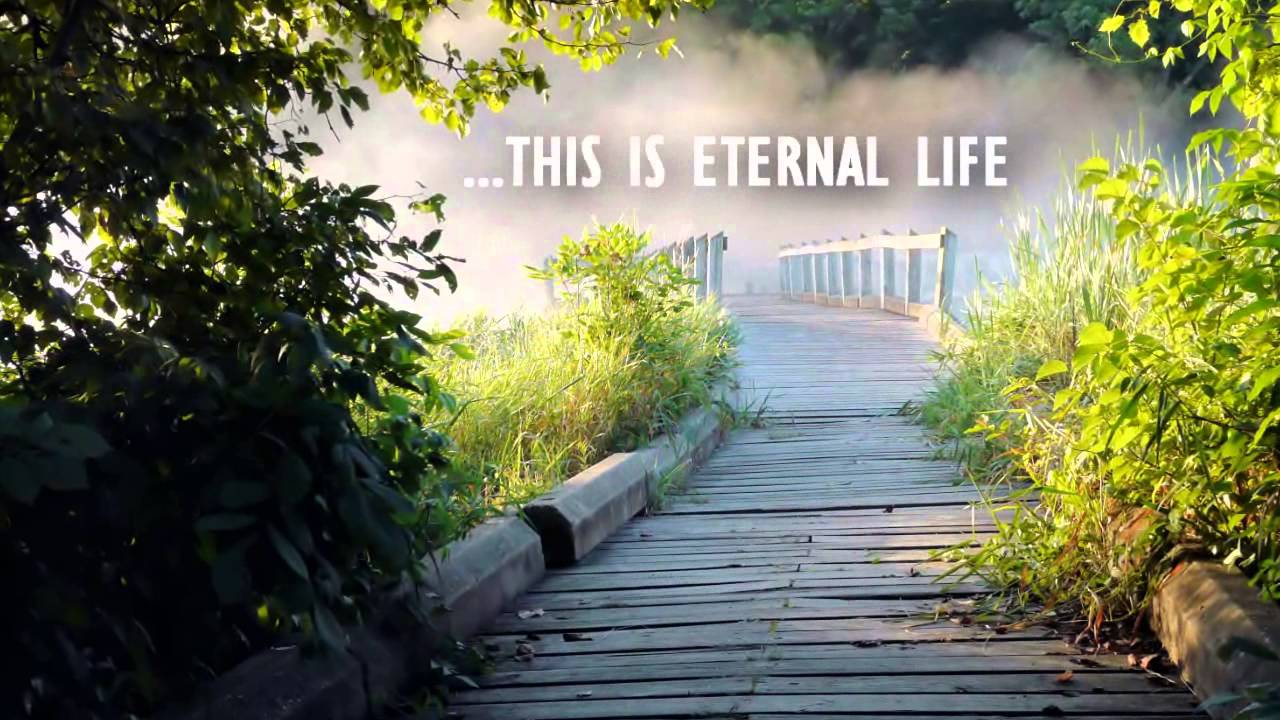 BookWhirl.com Book Trailer: ROAD TO ETERNAL LIFE by Dr. Quinton B ...