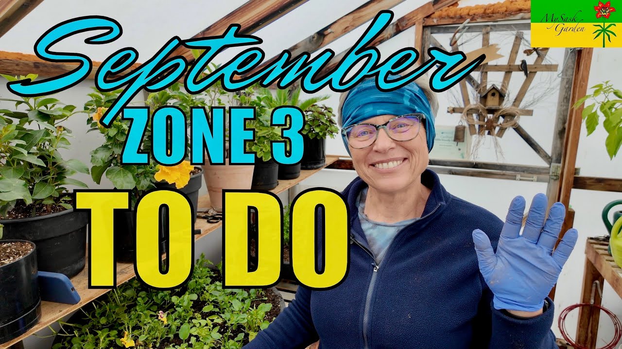 Zone 3:  Tasks for the early fall garden