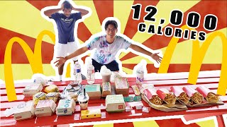 Eating the ENTIRE McDonalds Menu Challenge! (DESTROYED) || Food Challenge
