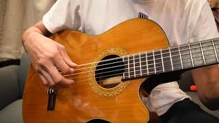 Vesta Graham エレガット - guitarshoptantan （ギターショップタンタン）