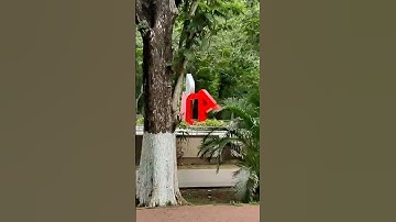 IIT KGP campus ♥️🔥 | IIT aspirants must watch | #iit #iitkgp #iitian #campus #shortsvideo