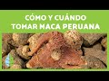 MACA PERUANA: Beneficios, Cómo tomarla + RECETA🌱💚