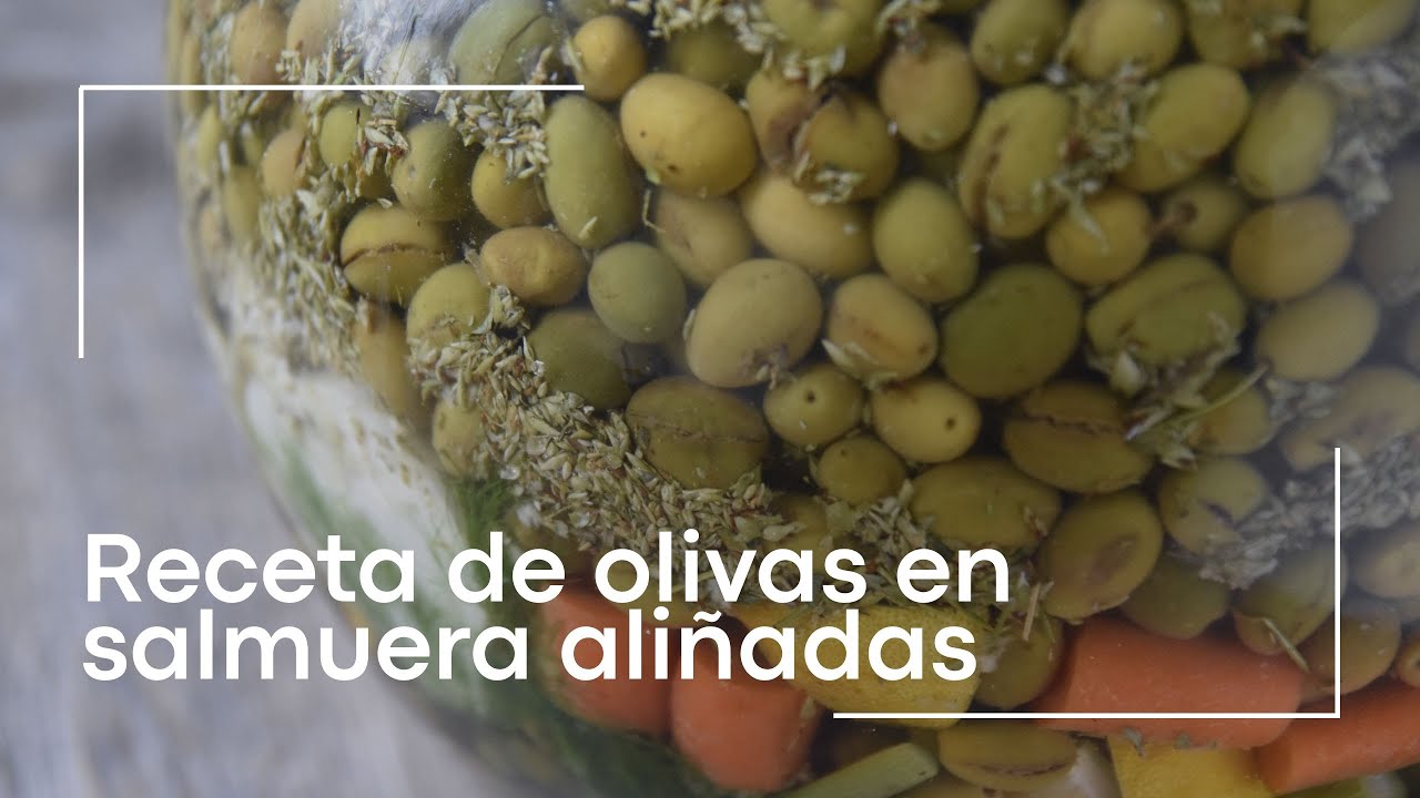 Olivas o aceitunas en salmuera aliñadas