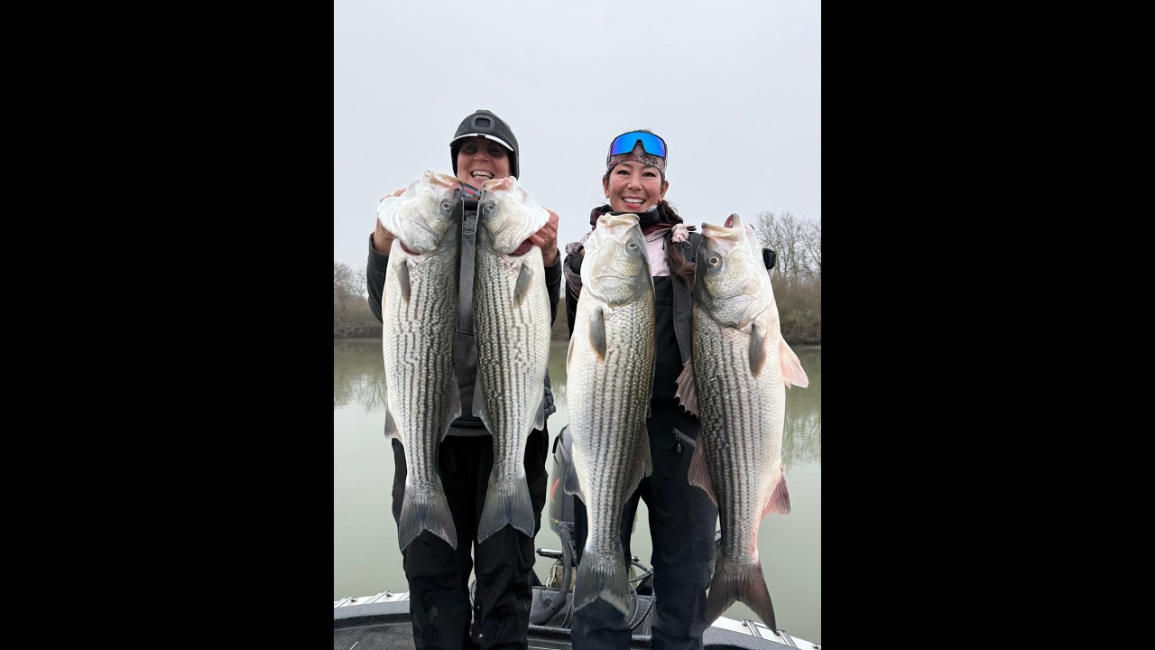 NorCal Fishing Report for February 19, 2026