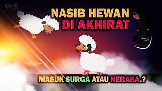 Nasib Hewan Di Akhirat Masuk Surga Atau Neraka ?