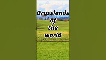 Grasslands of the world #gkquiz #grasslands #prairies #pampas #steppes #shorts #youtubeshorts #yts