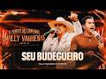 Willy Vaqueiro feat. Tayrone - SEU BUDEGUEIRO (Clipe Oficial)