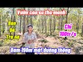 NGỢP CẦN BÁN GẤP mảnh vườn siêu đẹp nguồn thu mạnh giá rẻ