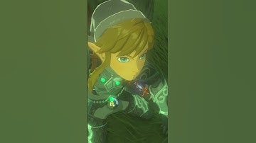 Stasis Clipping 101 | Breath of the Wild Glitches