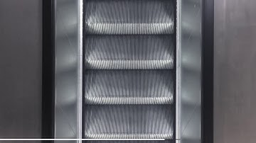 VXL - Train is Coming [Official Video]