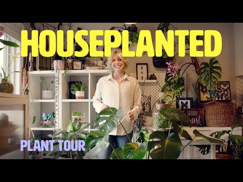 Her home is covered with tropical and carnivorous plants. Take a peek inside! | Houseplanted
