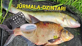 видео: ловля леща и судака ,В самом красивом городе Латвии-DZINTARI GROUNDBAITS Special mix - Bisquit Bream картинка: ловля леща и судака ,В самом красивом городе Латвии-DZINTARI GROUNDBAITS Special mix - Bisquit Bream