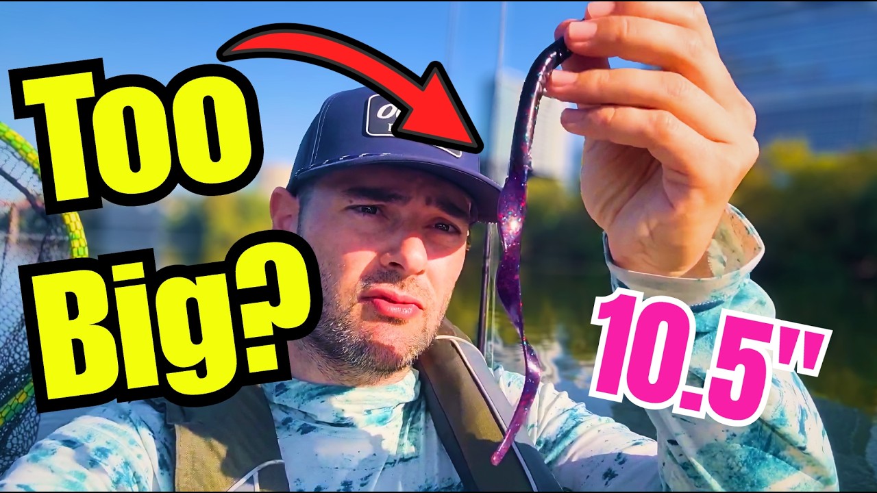 The Drop Shot Setup That Shouldn’t Work