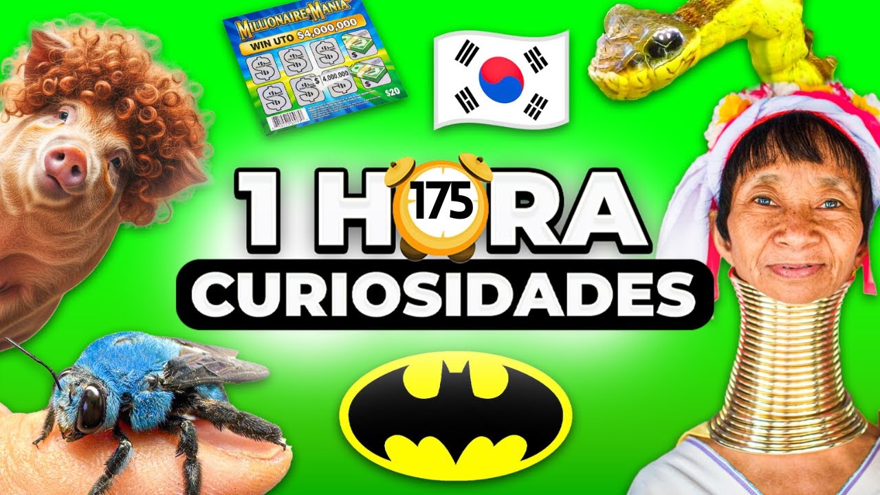 1 HORA De DATOS CURIOSOS y CURIOSIDADES INCREIBLES ! ⏰😲 | Zarpado