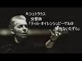 Ｒ．シュトラウス 交響詩 「ティル・オイレンシュピーゲルの愉快ないたずら」 カラヤン / ウィーンpo.　R.Strauss “Till Eulenspiegels lustige Streiche”