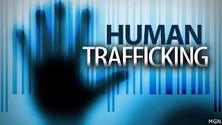 Taney County human trafficking sting leads to 8 arrests, firearms and drug seizures