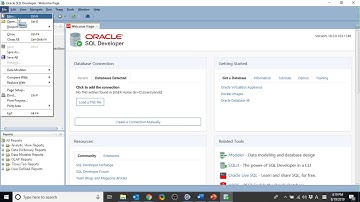 0. Oracle 12c SQL Developer DB Connection