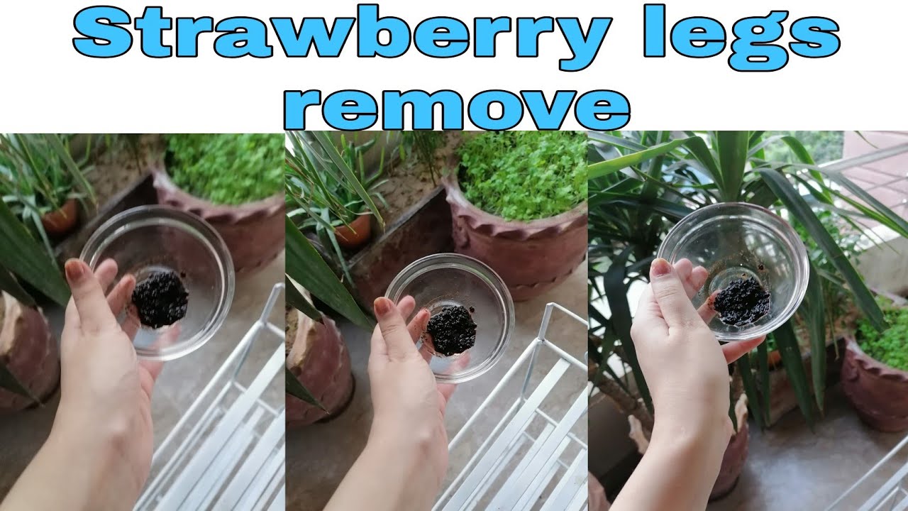 How To Get Rid Of Strawberry Legs Permanently At Home | Remove ...